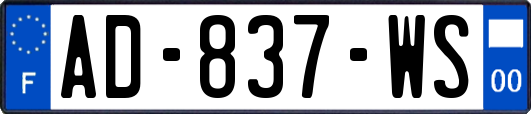 AD-837-WS