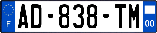 AD-838-TM