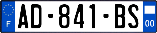 AD-841-BS