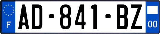 AD-841-BZ