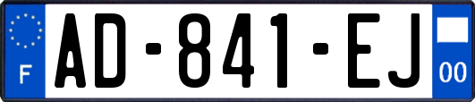 AD-841-EJ