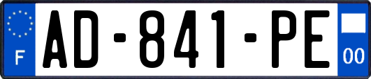 AD-841-PE