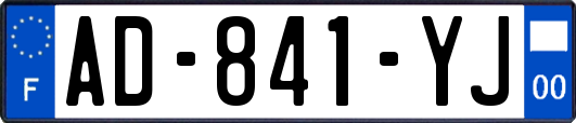 AD-841-YJ