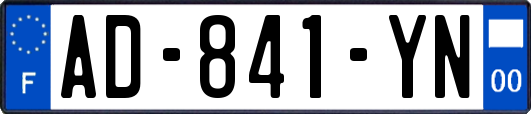AD-841-YN