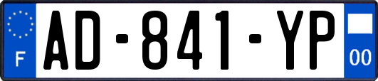 AD-841-YP