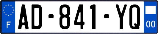AD-841-YQ