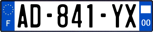 AD-841-YX