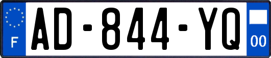 AD-844-YQ