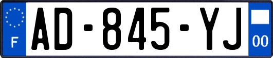 AD-845-YJ