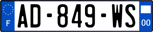AD-849-WS