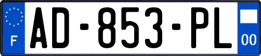 AD-853-PL