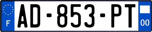 AD-853-PT