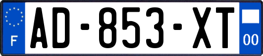 AD-853-XT