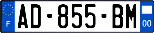 AD-855-BM