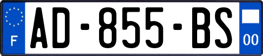 AD-855-BS