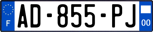 AD-855-PJ