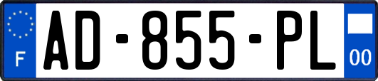 AD-855-PL