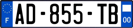 AD-855-TB