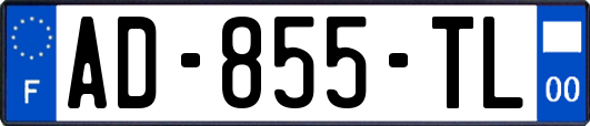 AD-855-TL