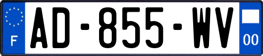 AD-855-WV