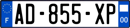 AD-855-XP