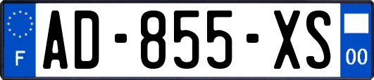 AD-855-XS