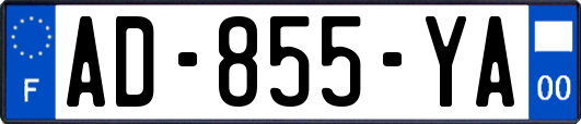 AD-855-YA