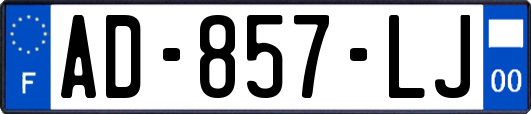 AD-857-LJ