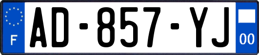 AD-857-YJ
