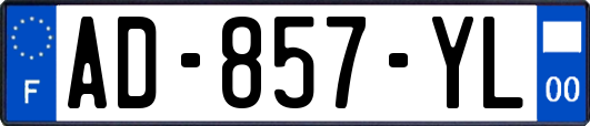 AD-857-YL