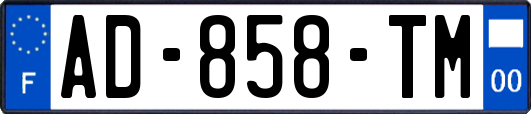 AD-858-TM