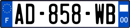 AD-858-WB
