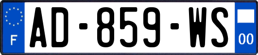 AD-859-WS