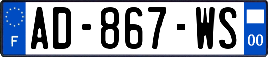 AD-867-WS