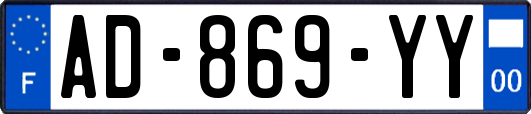 AD-869-YY