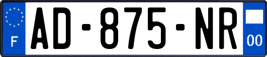 AD-875-NR