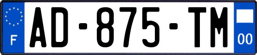 AD-875-TM