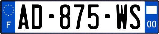 AD-875-WS