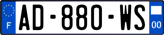 AD-880-WS