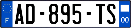 AD-895-TS