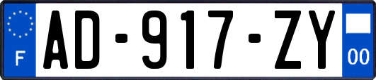 AD-917-ZY