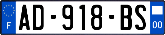 AD-918-BS
