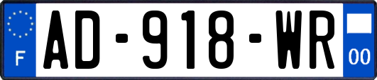 AD-918-WR