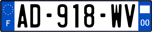 AD-918-WV
