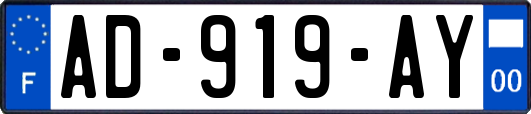 AD-919-AY