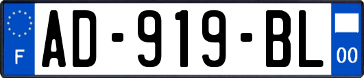 AD-919-BL