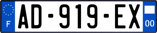 AD-919-EX