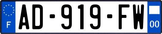 AD-919-FW