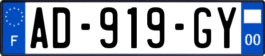 AD-919-GY