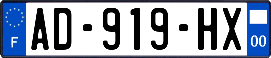 AD-919-HX